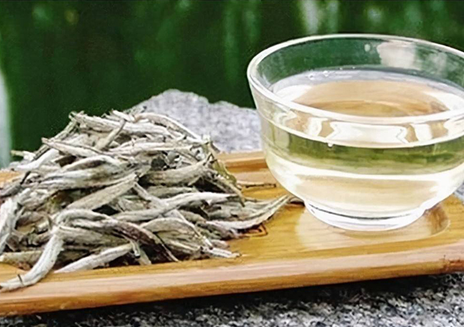 如何識別白茶？學會這些品鑒方法